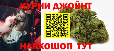 стаф Новокубанск