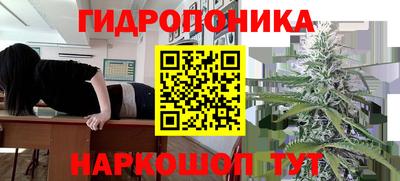 мяу мяу мука Новозыбков