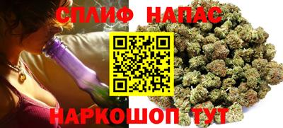 стаф Новокубанск