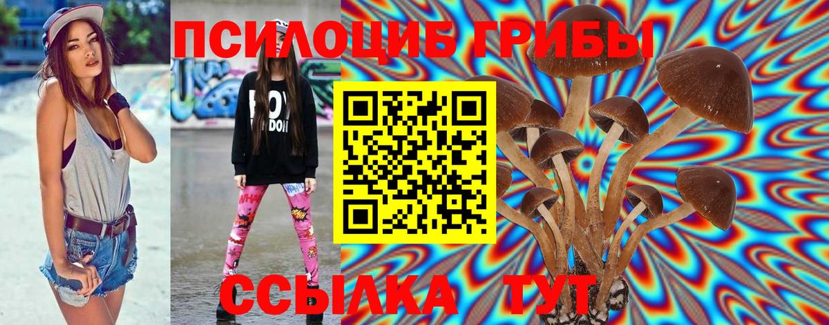 Галлюциногенные грибы GOLDEN TEACHER Сальск